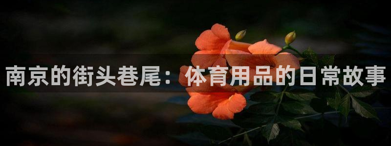 球速体育QsTY官方正版app娱乐平台:南京的街头巷尾:体育