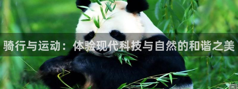 球速体育QsTY官方正版app集团E.ON:骑行与运动:体验