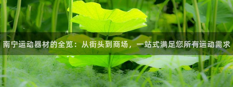 球速体育QsTY官方正版app神州:南宁运动器材的全览:从街